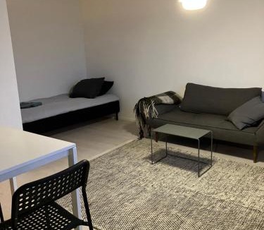 Seinajoki Apartment | Yksiö Koulukadulla - autopaikka - Wi-Fi