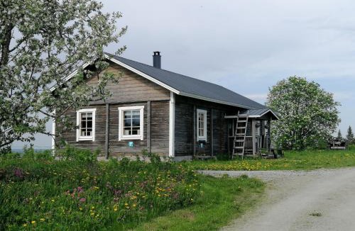 Valtimo House | Yläpihan Tila