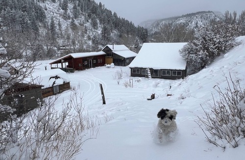 Durango Cottage | Yun-Shui Garden –Cottage Bunk House