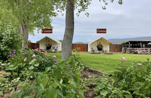 Lazear Cabin | Zinnia Glamping Tent at Zenzen Gardens