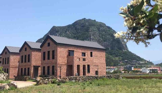 산방산의봄