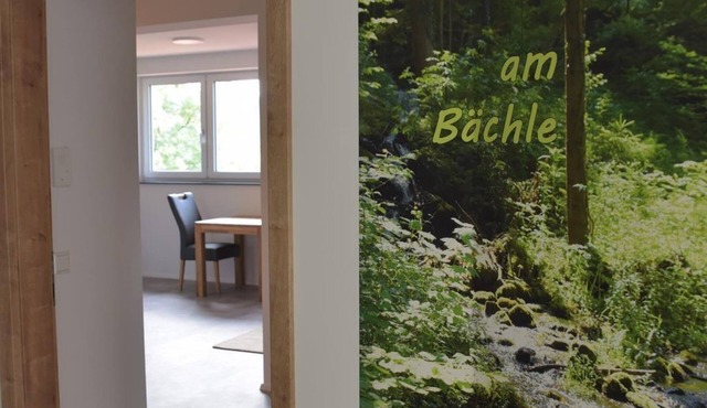 1-room apartment "Am Bächle" - Ferienhof Hopfgärtle Müller