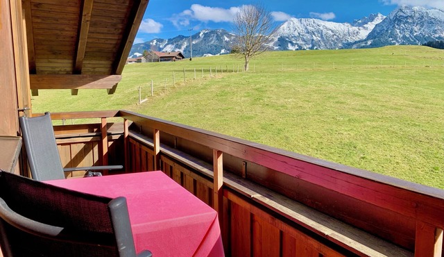 2-room vacation apartment with mountain view