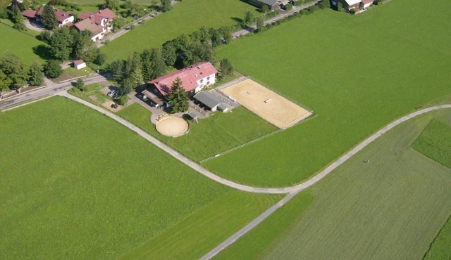 4 Lavender - the country farm