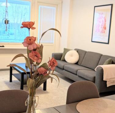 40- Nice apartment in Kemi city center , balcony and free parking