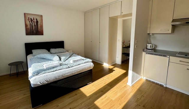 Affordable Studio Apartment in Vienna