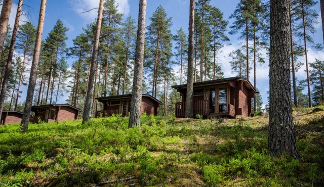 Ahvenlampi Camping Hostel