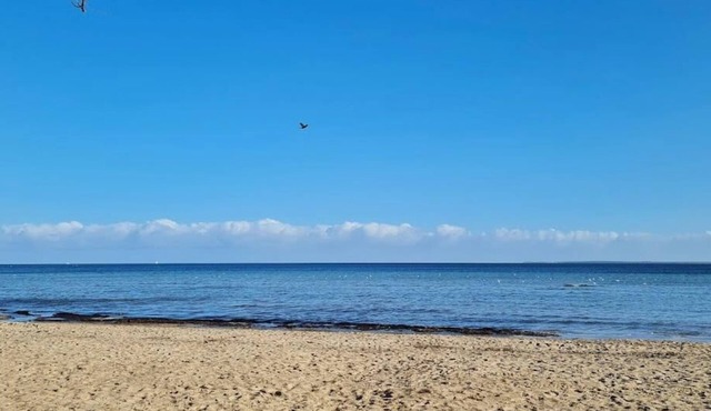 Alcor Hotel Feriendorf an der Ostsee
