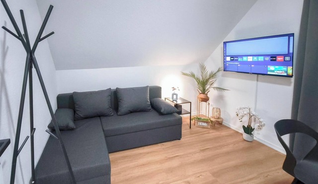 ALFA 4-room apartment Stuttgart 8 p. Netflix INET