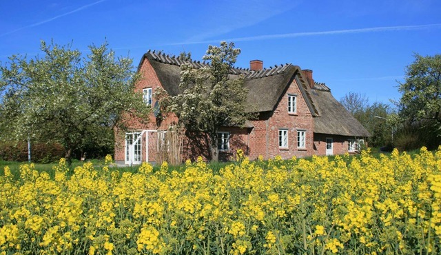 Altes Schusterhus - Ferienhaus Altes Schusterhus