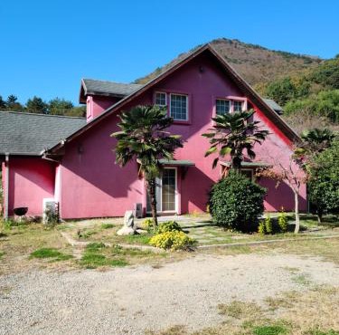 American House