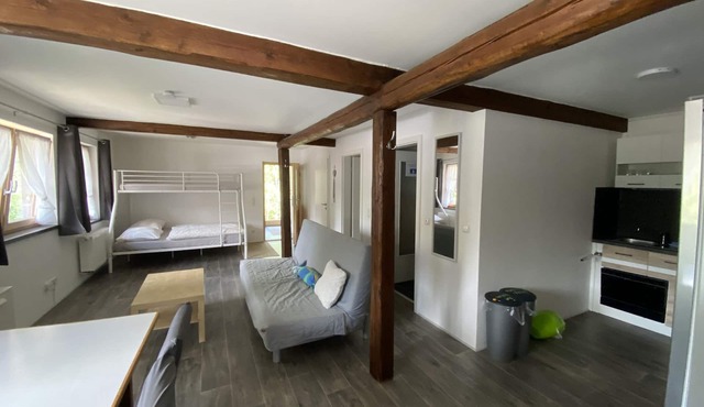 Apartment-Classic-Private Bathroom-Mountain view