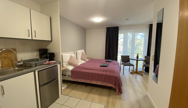 Apartment 'Double Studio' with Wi-Fi