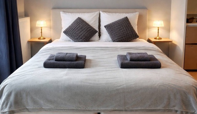 Apartment 'Double Studio' with Wi-Fi