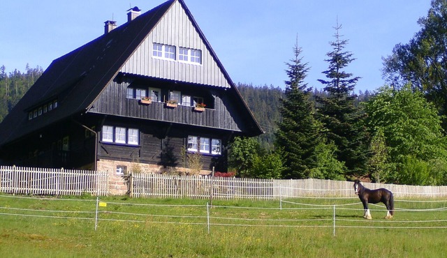 Apartment Eulennest in an idyllic forester's lodge, individual and modern