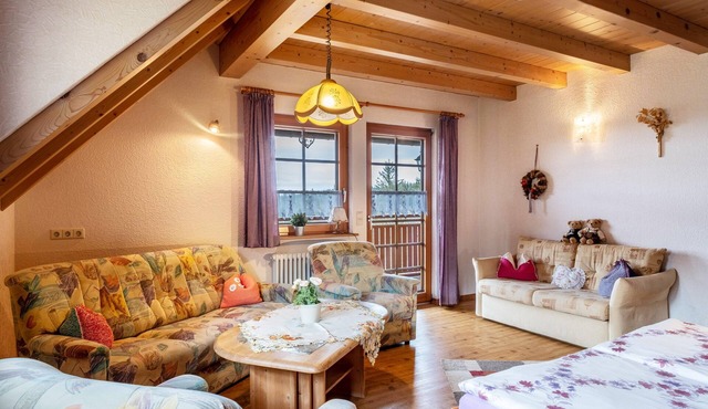 Apartment 'Haus Silberberg' with Shared Garden, Balcony and Wi-Fi