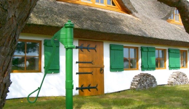 Apartment in the Fischerhaus Hiddensee 22 sqm - Apartment in the Fischerhaus 22 sqm