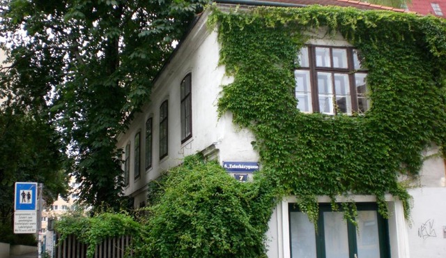Apartment NiNi
