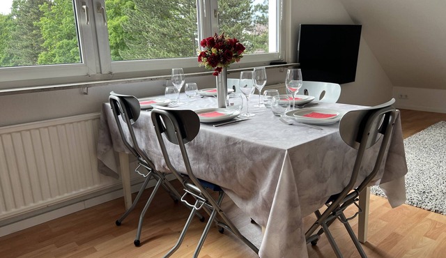 Apartment 'Ruhige Wohnung Nahe Zentrum U Messe' with Private Pool