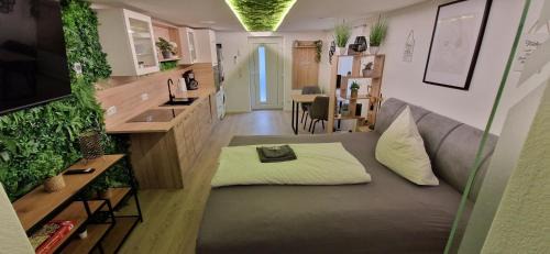 Appartment-Ferienwohnung mit Küche, Bad, WLAN, Klimaanlage, Modern eingerichtet