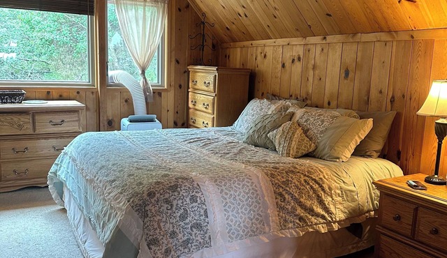 Aspen Tree Ranch w Hot Tub Evergreen Colorado