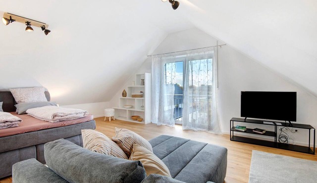 Attic Studio on the Danube Cycle Path with Mountain View, Balcony, and Wi-Fi