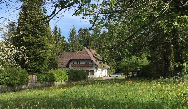 B & B Der Waldvogel