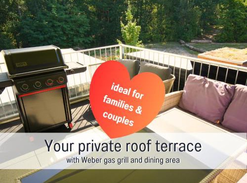 Baham-Apartment Nuernberg - including hot tub, sauna, massage chair, roof terrace, barbecue - metro 15 min, exhibition center 8 min walk