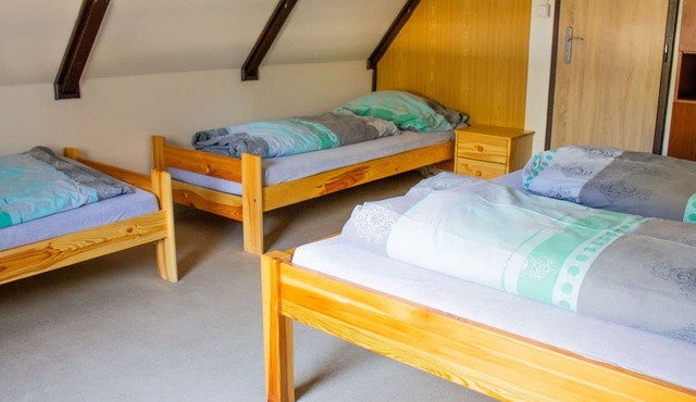 Beautiful apartment in villa for 12 guests with WIFI, TV, patio and pets allowed