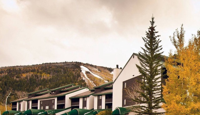 Beautiful 1 bedroom unit at resort, sleeps 6