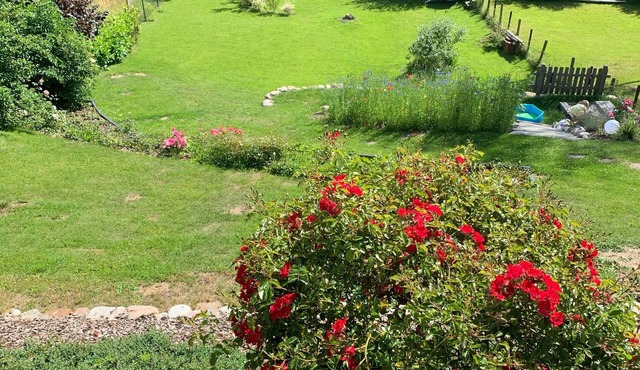 Beautiful apartment right on the Trave