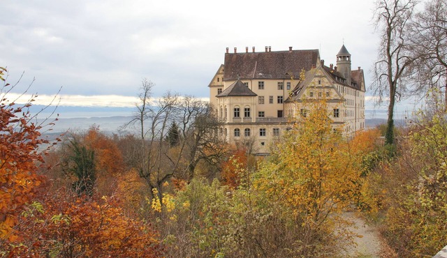 Beautiful vacation apartment near Heiligenberg Castle