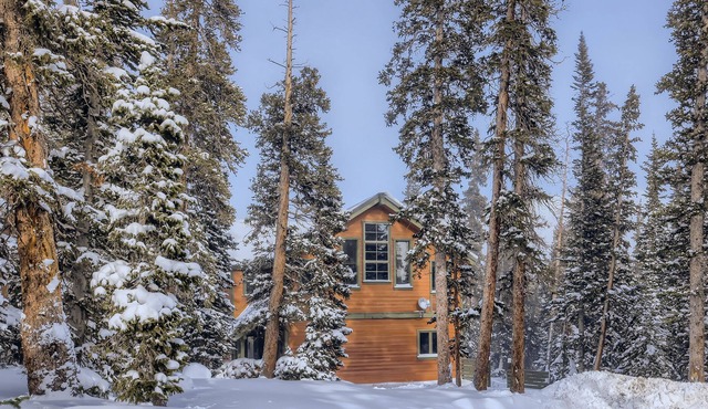 Beautifully updated home with fireplaces & washer/dryer - dog-friendly