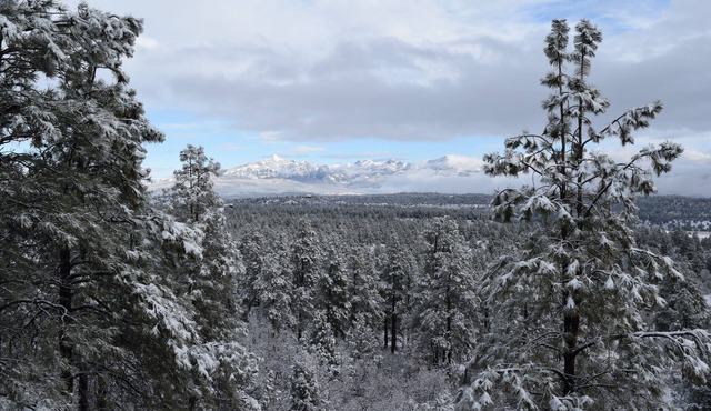 Breathtaking Panoramic Views, 5 Bedroom, 3 Level Home Close to Town on 5 Acres