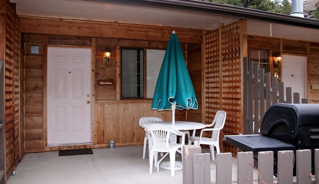 Bring your dog to this Cozy Mountain Escape