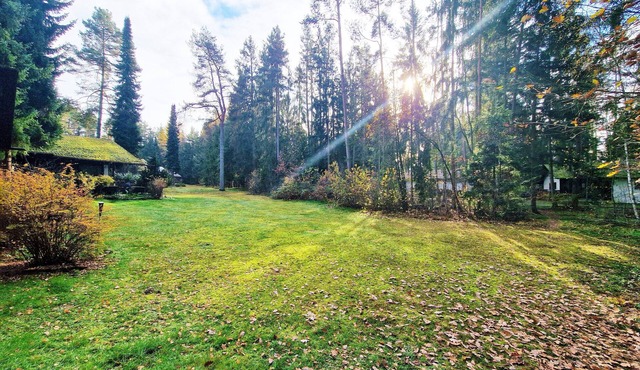Bungalow directly at the lake, with own boat