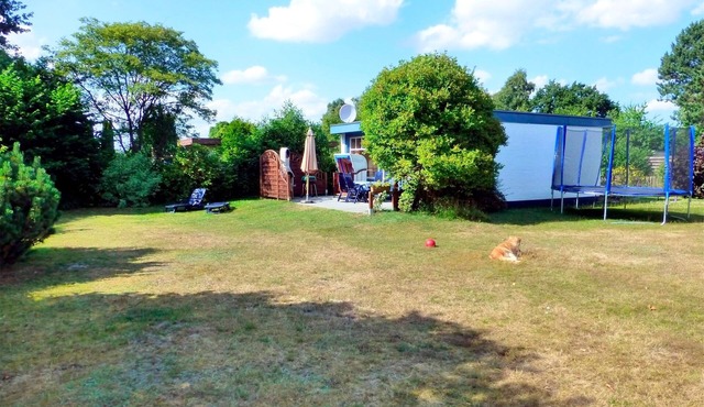 Bungalow for 4 guests with 45m² in Lensterstrand (9630)