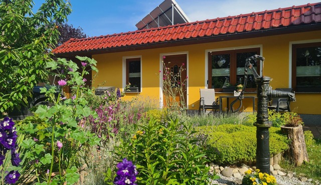 Bungalow on the Baltic Cycle Route Rerik - Bungalow with Terrace (50m², max 4 persons)