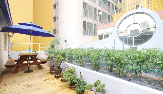 Busan Hadan Paradise