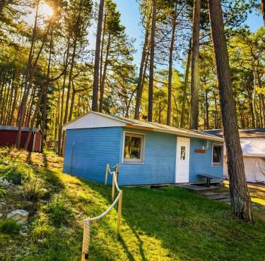 Camping Standard Bungalow Ferienwohnung auf Rügen - bis 5 Personen - nur 100m zum Naturstrand - mitten im Wald - Familien und Hunde herzlich willkommen - Feriensiedlung Schwalbennest