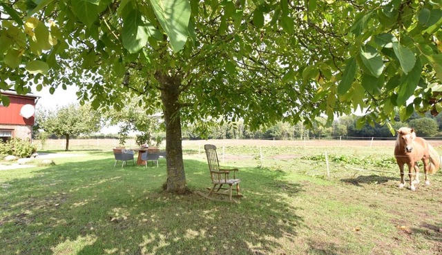 Charming Apartment in Pugholz near Sea