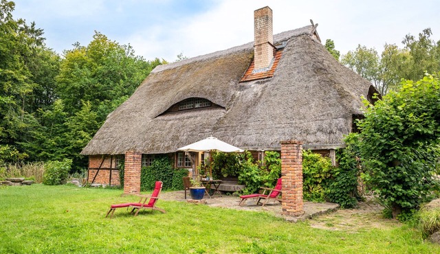 Charming Apartment in the Natural Forest near Borkenhagen/Kalkhorst