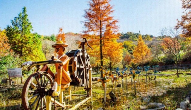 Chengyang Goun Healing Glamping
