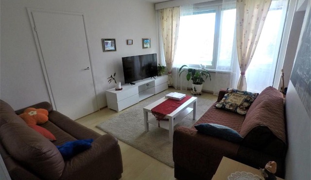 City centre apartment Siilinjärvi