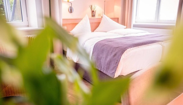 Classic double room - Bio Hotel Miramar