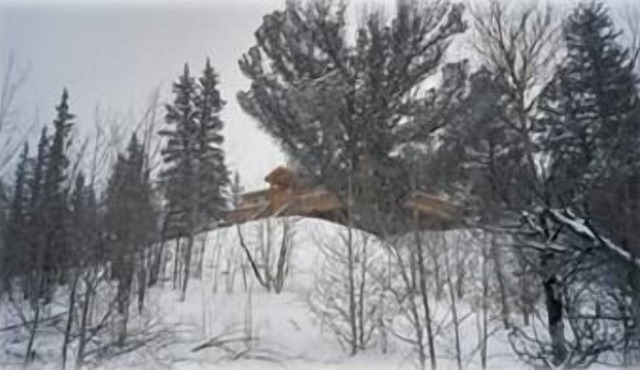 Colorado Mountain Getaway - Peace & Quiet on 6 Acres - Golf