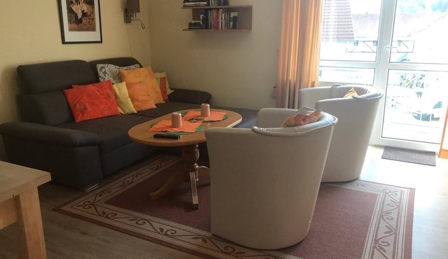 Comfortable apartment (55sqm) with two balconies