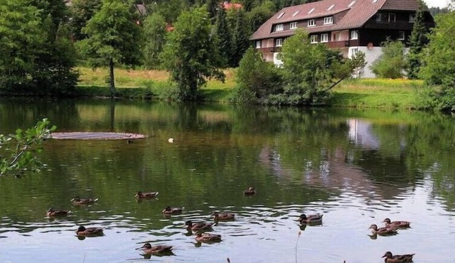 Comfortable holiday residence on the lake