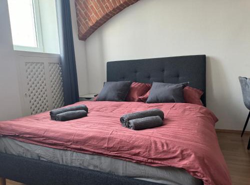 Comfy Apartment in Classy Area