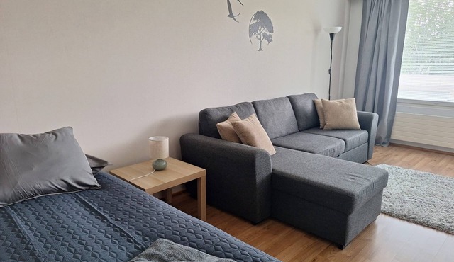 Cozy 2-bedroom apartment with free parking